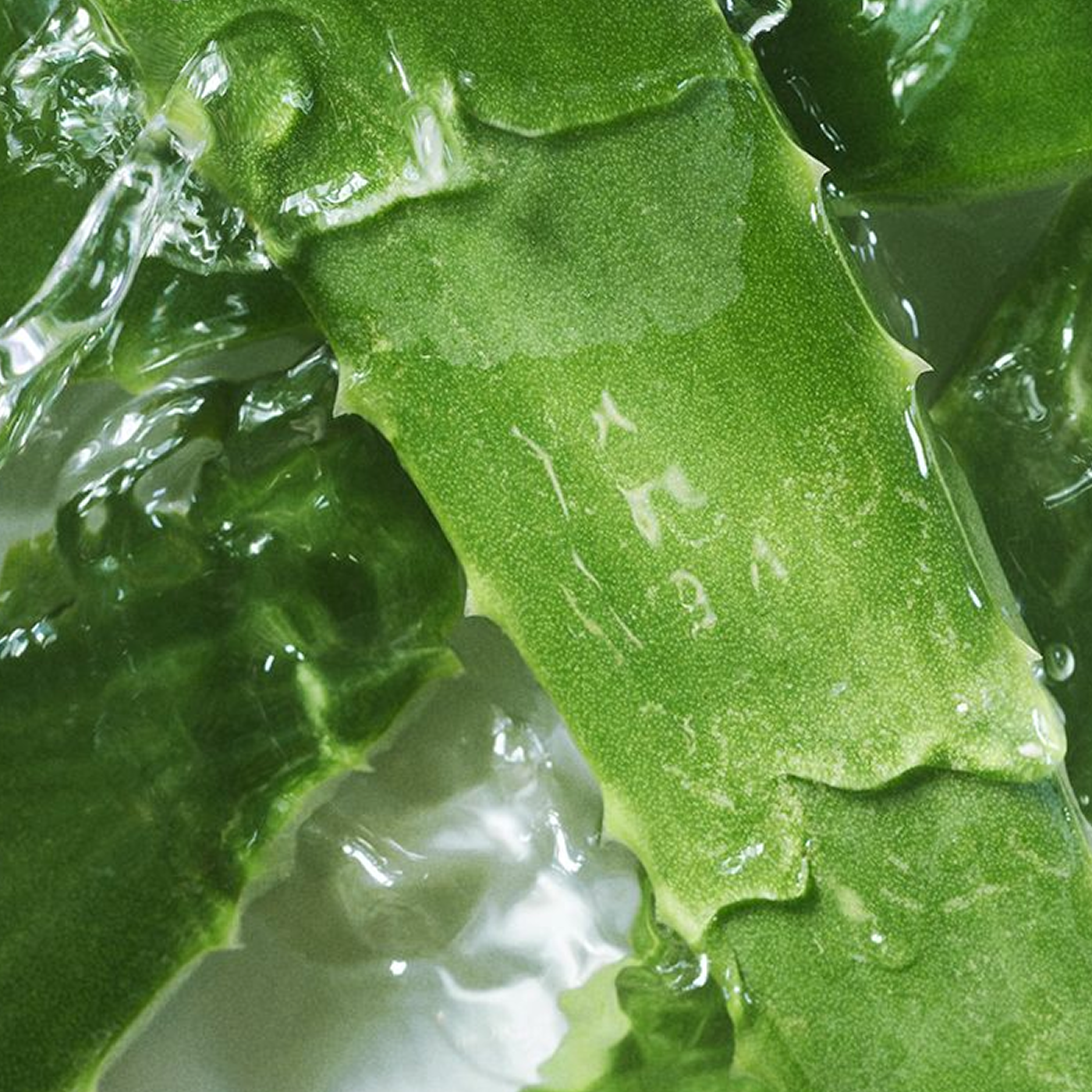 Aloe Refresh Bar